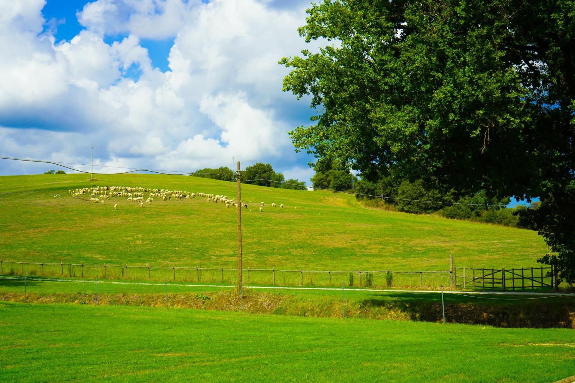 Borgo Pallavicini Mori Řím Exteriér fotografie
